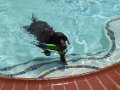 2010-08_28 Hemi Liberty Hill Swim